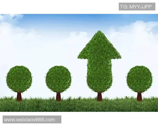 绿叶足球：助力青少年成长的绿色运动新风尚与未来发展展望